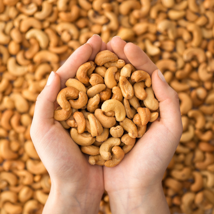Cashew blog lifestyle image